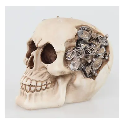 decoration Skull