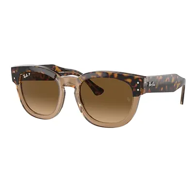 Ray-Ban Sunglasses Unisex Mega Hawkeye - Havana On Transparent Brown Frame Brown Lenses Polarize