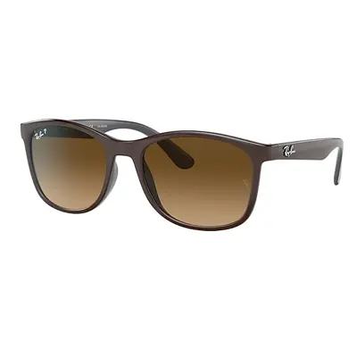 Ray-Ban Sunglasses Unisex Rb4374 - Brown Frame Brown Lenses Polarized 56-19