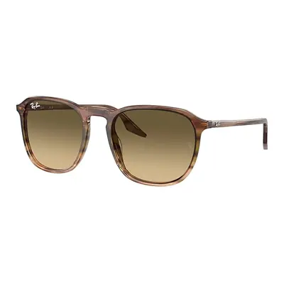 Ray-Ban Sunglasses Unisex Rb2203 - Striped Brown Frame Brown Lenses 55-20