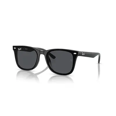 Ray-Ban Sunglasses Unisex Rb4420 - Black Frame Grey Lenses 65-18