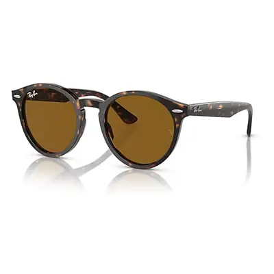 Ray-Ban Sunglasses Unisex Larry - Havana Frame Brown Lenses 51-21