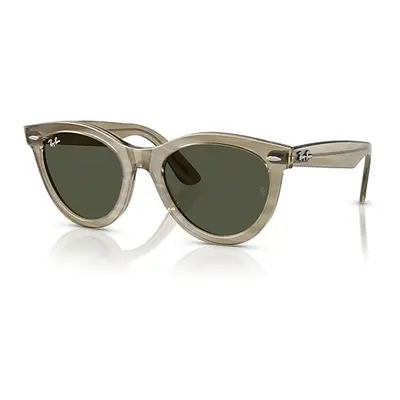 Ray-Ban Sunglasses Unisex Wayfarer Way Change Holiday Limited - Photo Striped Grey Frame Green L