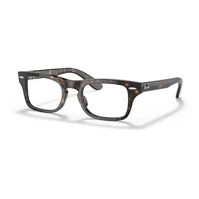 Ray-Ban Eyeglasses Children Burbank Optics Kids - Havana Frame Clear Lenses Polarized 43-19