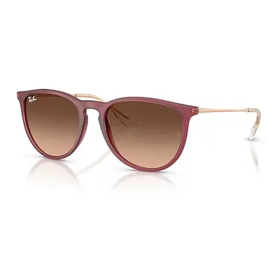 Ray-Ban Sunglasses Woman Erika Classic - Rubber Violet Frame Pink Lenses 54-18