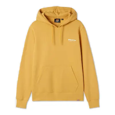 Dickies Camden Box Hoodie