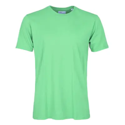 Colorful Standard Classic Organic Tee