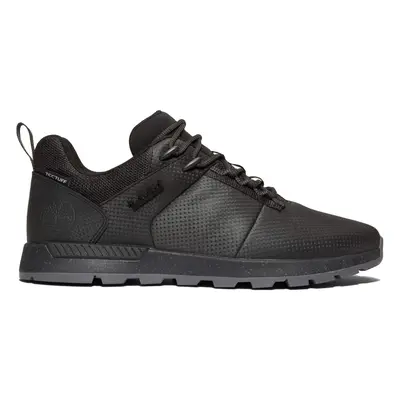 Timberland Field Trekker Low Black