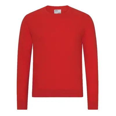 Colorful Standard Light Merino Wool Crew