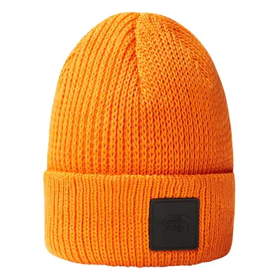 The North Face Explore Beanie