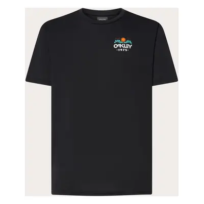 Oakley Men's Sunny Rogue B1b Tee Size: