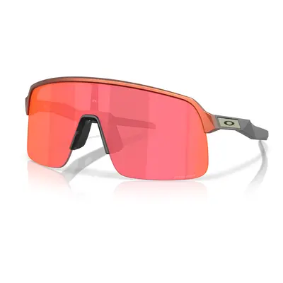 Oakley Men's Sutro Lite Forge Collection Sunglasses