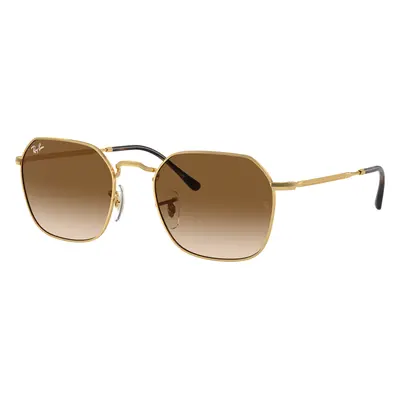 Ray-Ban Unisex Sunglass RB3694 Jim - Frame color: Arista Gold, Lens color: Light Brown