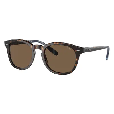 Polo Ralph Lauren Man Sunglass PH4206 - Frame color: Shiny Dark Havana, Lens color: Brown