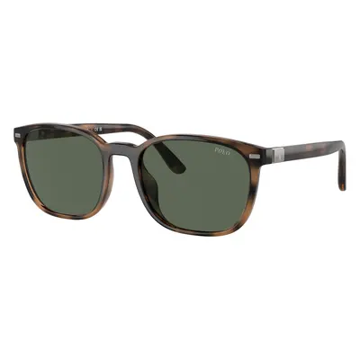 Polo Ralph Lauren Man Sunglass PH4208U - Frame color: Shiny Havana, Lens color: Bottle Green