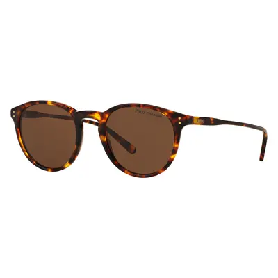 Polo Ralph Lauren Man Sunglass PH4110 - Frame color: Shiny Antique Havana, Lens color: Polar Br