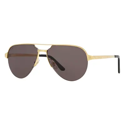 Cartier Man Sunglass CT0386S - Frame color: Gold, Lens color: Grey