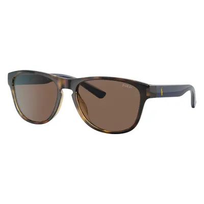 Polo Ralph Lauren Unisex Sunglass PH4180U - Frame color: Shiny Havana, Lens color: Brown