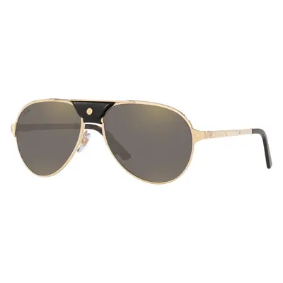 Cartier Man Sunglass CT0034S - Frame color: Gold, Lens color: Grey