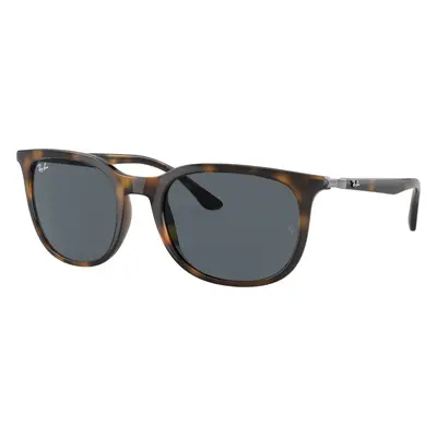 Ray-Ban Unisex Sunglass RB4386 - Frame color: Havana, Lens color: Blue