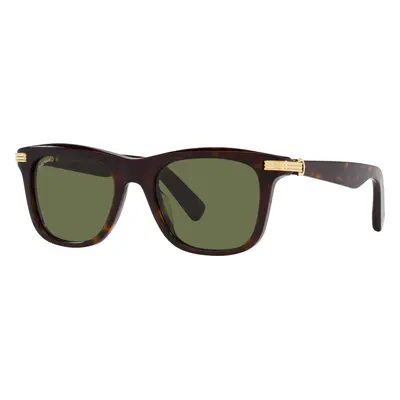 Cartier Man Sunglass CT0396S - Frame color: Tortoise, Lens color: Green