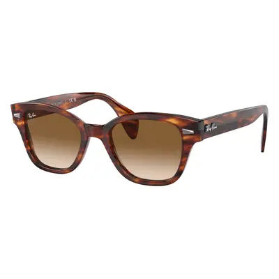 Ray-Ban Unisex Sunglass RB0880S - Frame color: Striped Havana, Lens color: Brown