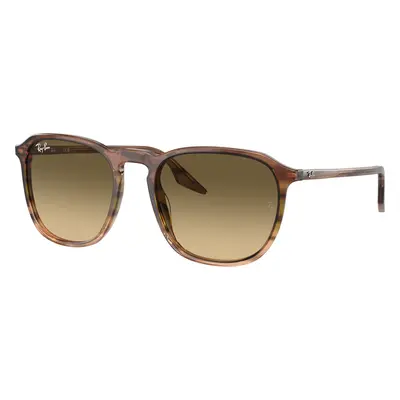 Ray-Ban Unisex Sunglass RB2203 - Frame color: Striped Brown & Green, Lens color: Brown Black