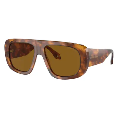 Giorgio Armani Man Sunglass AR8183 - Frame color: Red Havana, Lens color: Brown