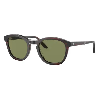 Giorgio Armani Man Sunglass AR8170 - Frame color: Striped Brown, Lens color: Bottle Green