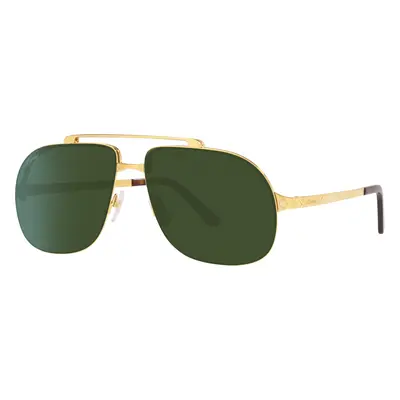 Cartier Man Sunglass CT0353S - Frame color: Gold, Lens color: Green