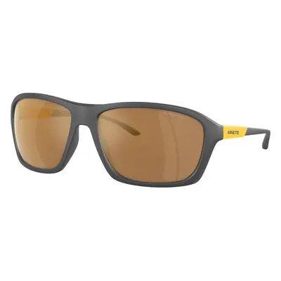 Arnette Man Sunglass AN4329 Nitewish - Frame color: Matte Grey, Lens color: Brown Mirror Gold P