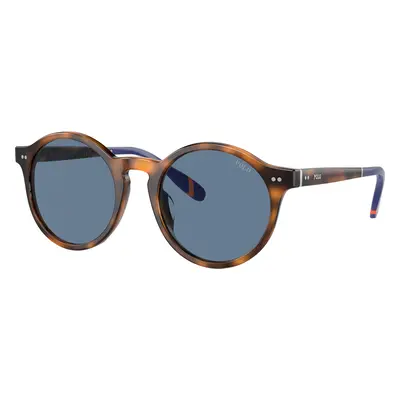 Polo Ralph Lauren Man Sunglass PH4204U - Frame color: Shiny Red Havana, Lens color: Blue