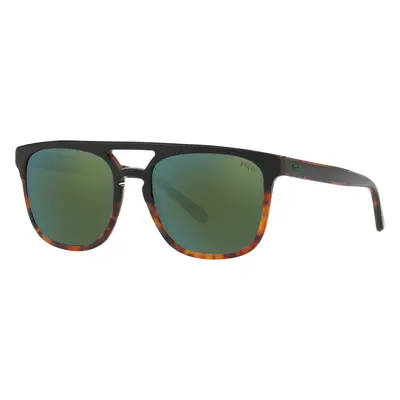 Polo Ralph Lauren Man Sunglass PH4125 - Frame color: Shiny Black On Jerry Havana, Lens color: F