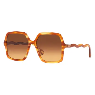 Chloé Unisex Sunglass CH0086S - Frame color: Brown, Lens color: Brown