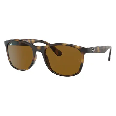 Ray-Ban Unisex Sunglass RB4374 - Frame color: Havana, Lens color: Brown