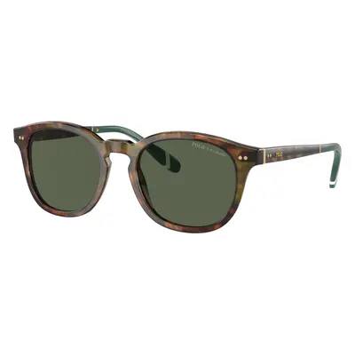 Polo Ralph Lauren Man Sunglass PH4206 - Frame color: Shiny Brown Tortoise, Lens color: Bottle G