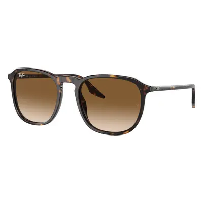 Ray-Ban Unisex Sunglass RB2203 - Frame color: Havana, Lens color: Light Brown