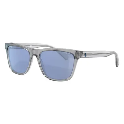 Polo Ralph Lauren Man Sunglass PH4167 - Frame color: Shiny Transparent Grey, Lens color: Light 