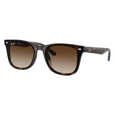 Ray-Ban Unisex Sunglass RB4420 - Frame color: Havana, Lens color: Brown