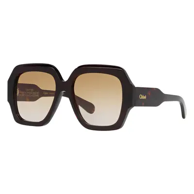 Chloé Woman Sunglass CH0154S - Frame color: Tortoise, Lens color: Brown