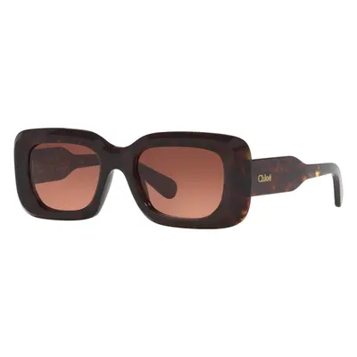 Chloé Woman Sunglass CH0188S - Frame color: Tortoise, Lens color: Copper