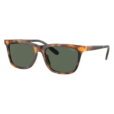 Polo Ralph Lauren Man Sunglass PH4205U - Frame color: Shiny Red Havana, Lens color: Dark Green