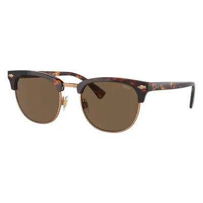 Polo Ralph Lauren Man Sunglass PH4217 - Frame color: Shiny Brown Tortoise, Lens color: Brown