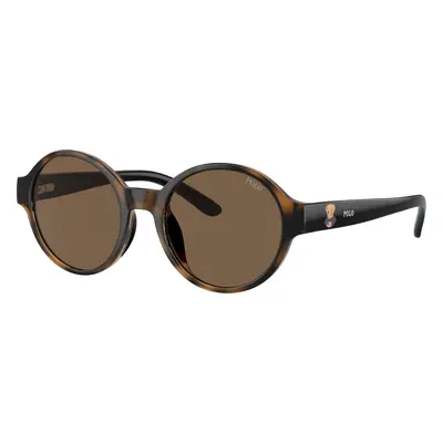 Polo Ralph Lauren Unisex Sunglass PP9508U - Frame color: Shiny Dark Havana, Lens color: Brown