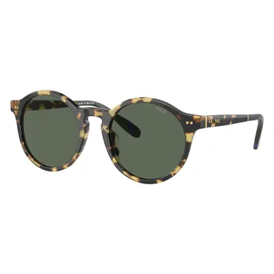 Polo Ralph Lauren Man Sunglass PH4204U - Frame color: Shiny Tortoise Brown, Lens color: Dark Gr