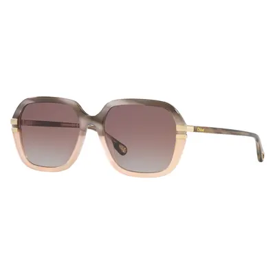 Chloé Woman Sunglass CH0204S - Frame color: Grey, Lens color: Brown