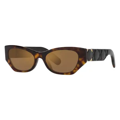 DIOR Woman Sunglass Lady 95.22 B1I Cd40147I - Frame color: Tortoise, Lens color: Brown