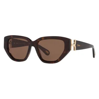 Chloé Woman Sunglass CH0235S - Frame color: Tortoise, Lens color: Brown