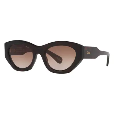 Chloé Woman Sunglass CH0220S - Frame color: Tortoise Light, Lens color: Brown