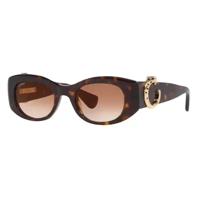 Cartier Woman Sunglass CT0472S - Frame color: Tortoise, Lens color: Brown